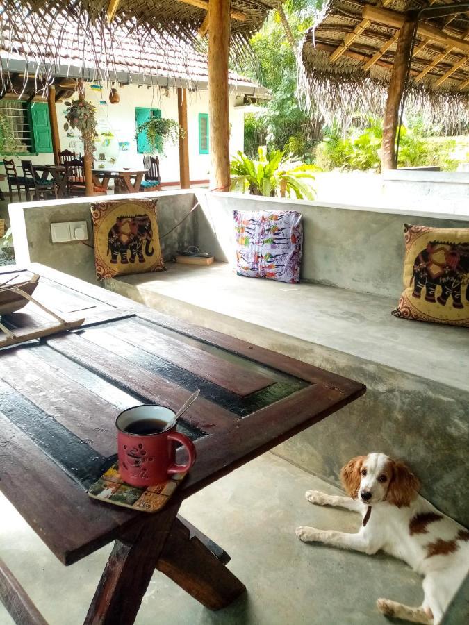 Lazy Monkey Sri Lanka Hostel Dickwella Exterior photo